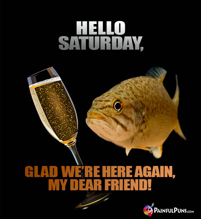 Toasting Fish Says: Hello Saturday, Glad we're here again, my dear friend!