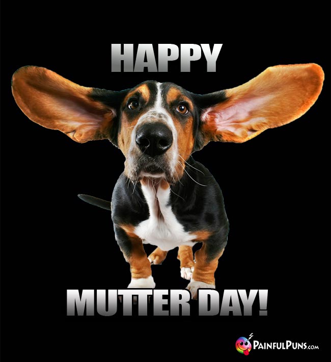 Bassethound says: Happy Mutter Day!