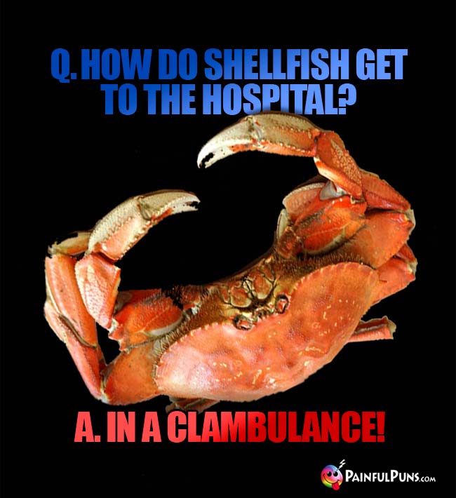 Q. How do shellfish get to the hospital? A. In a clambulance!