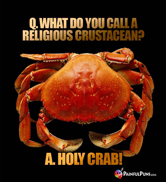 Q. What do you call a religious crustacean? A. Holy Crab!