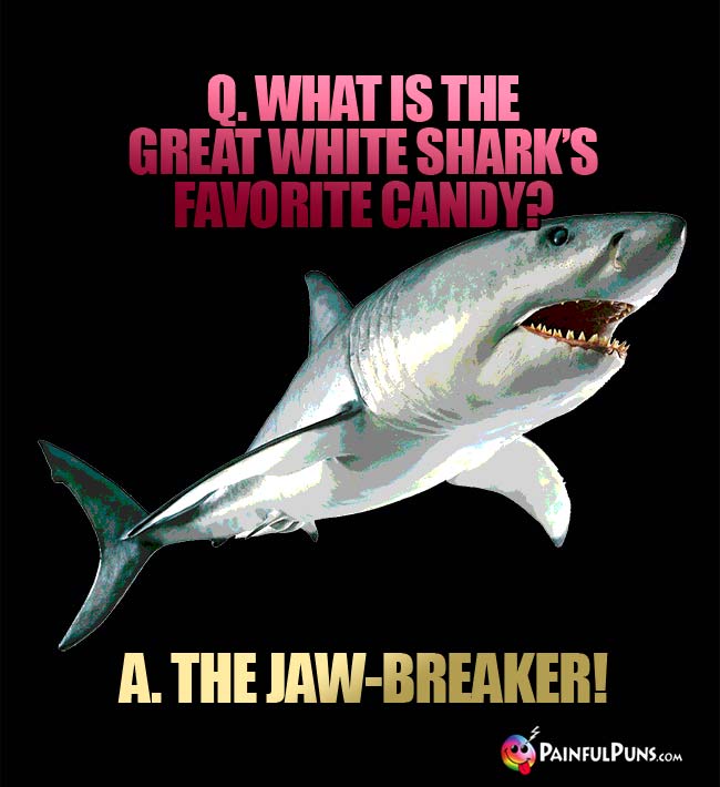 Q. What is the great white shark's favorite candy? A. The jaw-breaker!