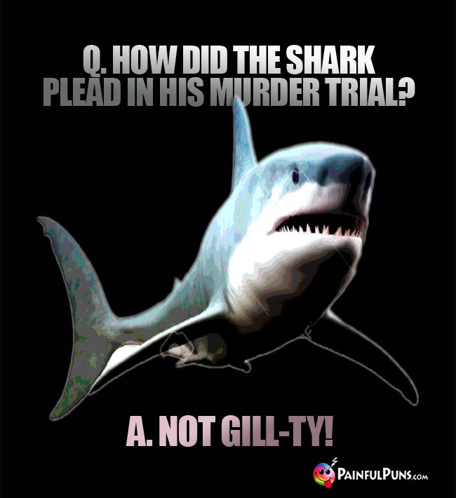 Q. How did the shark plead in his murder trial? A. Not Gill-ty!