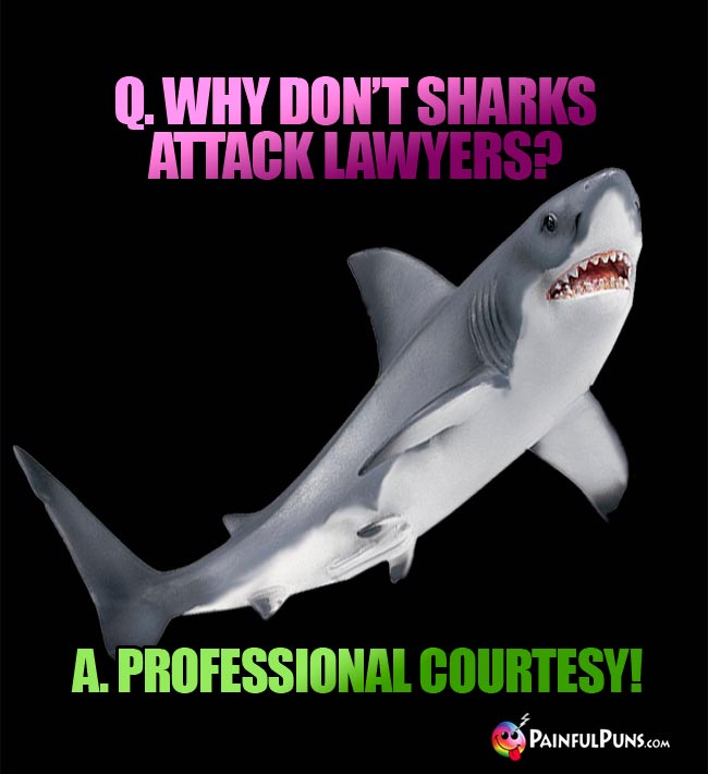 Q. Why don't harks atttack lawyers?A. Professional courtesy!
