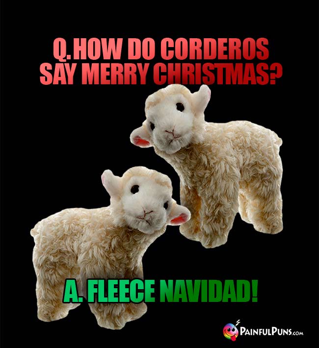 Q. How do corderos say Merry Christmas? A. Fleece Navidad!