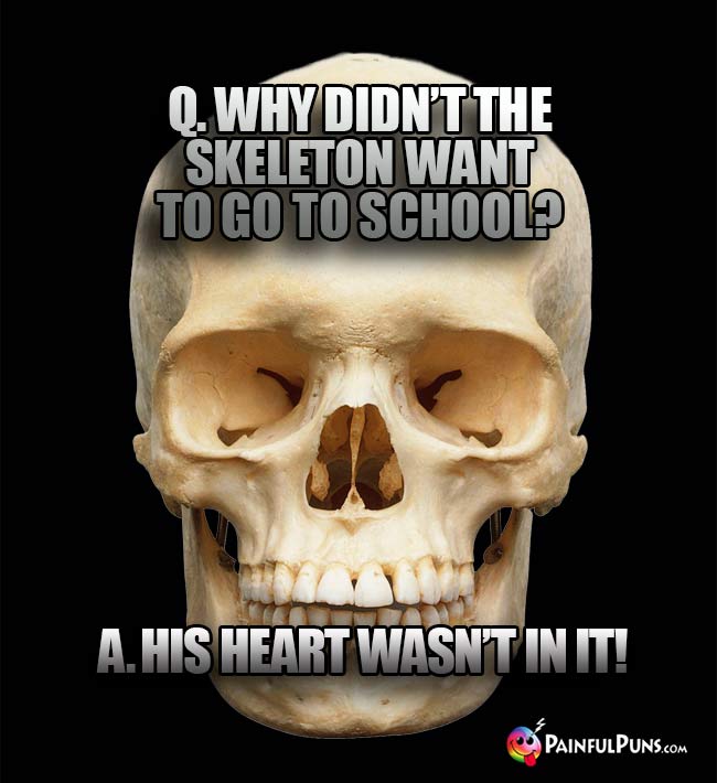 Q. Why didn't the skeleton want to go to school? A. His heart wasn't in it!