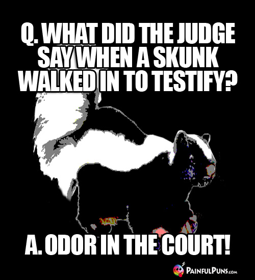 Q. What Did the Judge Say When a Skunk Walked In to Testify? A. Odor in the Court! 