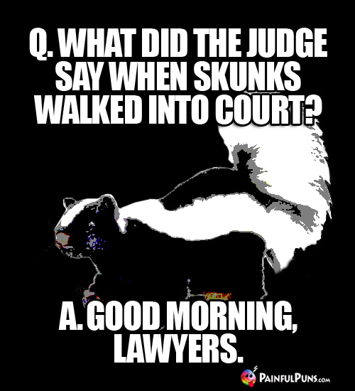 Stinking Funny Pun: Q. What did the judge say when skunks walked into court? A. Good morning, lawyers.