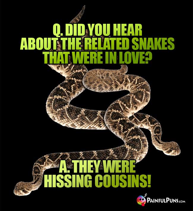 Q. Did you hear about the related snakes that were in love? A. they were hissing cousins!