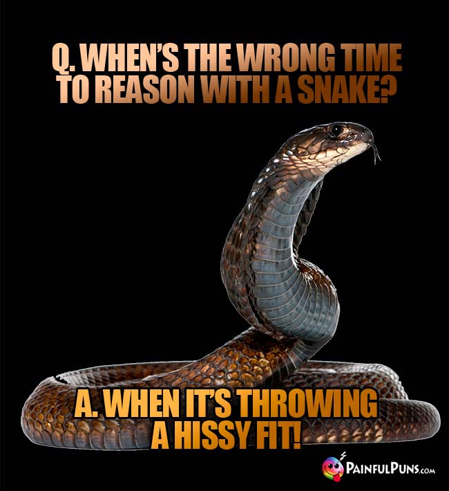 bad joke snake