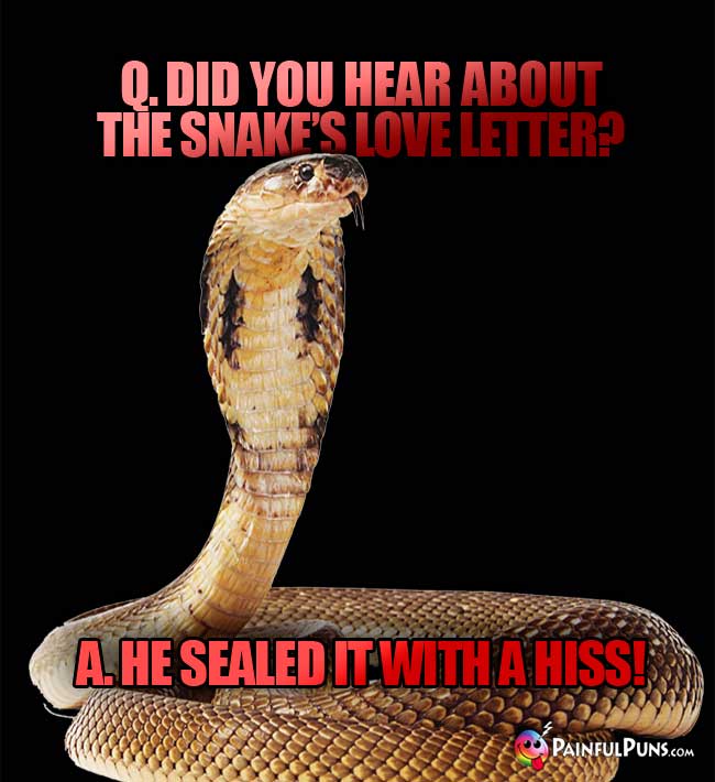 Q. Did you hear about the snake's love letter? A. He sealed it with a hissQ