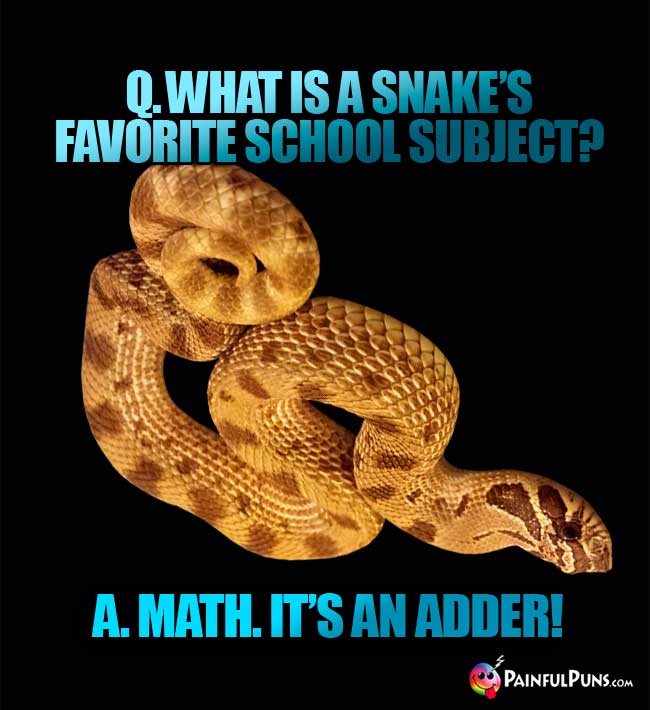 Q. What is a snake's favorite school subject? A. Math. It's an adder!