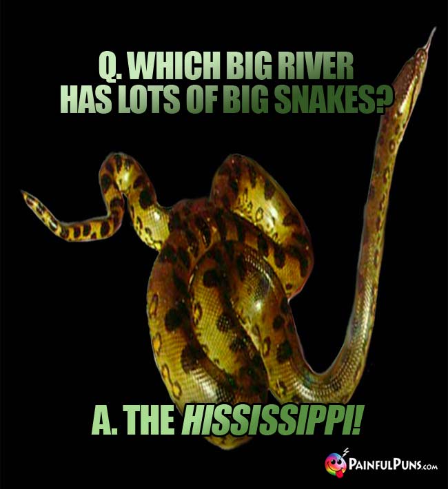 Q. Which big river has lots of big nakes? A. The Hississippi!