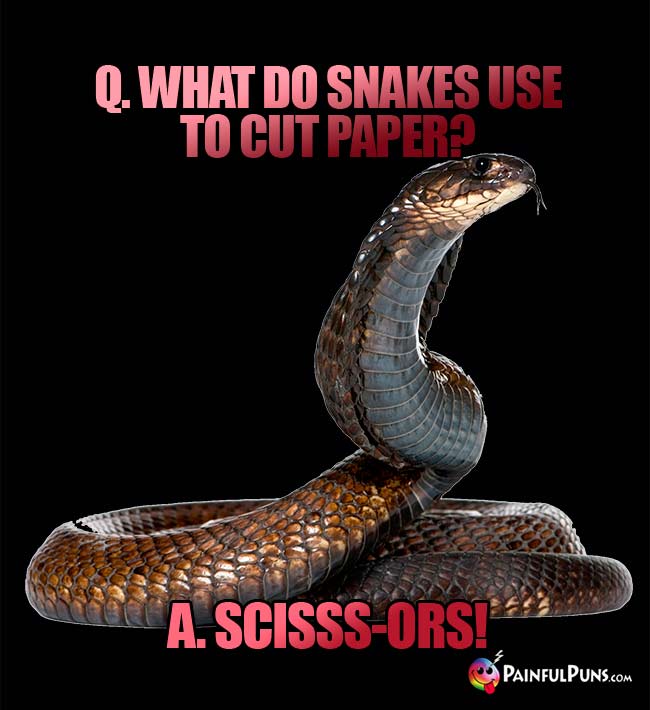 Q. What do snakes use to cut paper? A. Scisss-ors!
