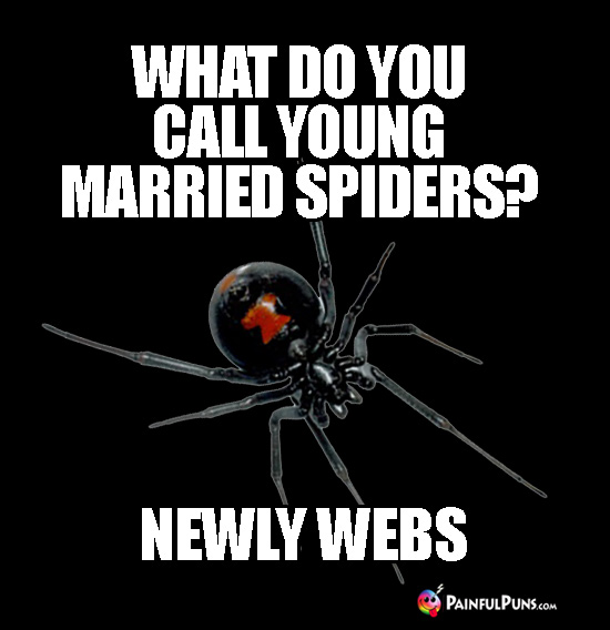 Funny Arachnid Riddle: Q. What do you call young married spiders? A. Newly Webs