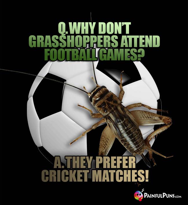 Q. Why don't grasshoppers attend football games? A. They prefer cricket matches!