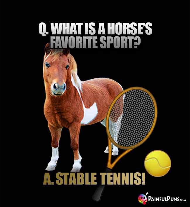 Q. What is a horse's favorite sport? A. Stable Tennis!