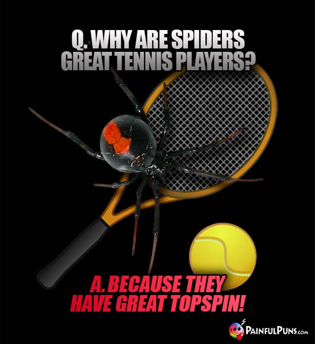 Q. Why are spiders great tennis players? A. Because they have great topspin!