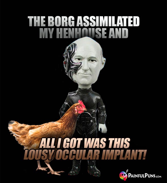 The Borg assimilated my henhouse and all I got was this lousy occular implant!