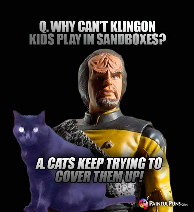 Worf Asks: Why can't Klingon kids play in sandboxes? A. Cats keep trying to cover them up!