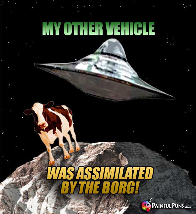 Cow Says: My other vehicle was assimilated by the Borg!