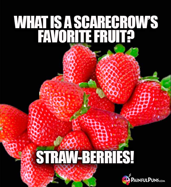 What is a scarecrow's favorite fruit? Straw-berries!