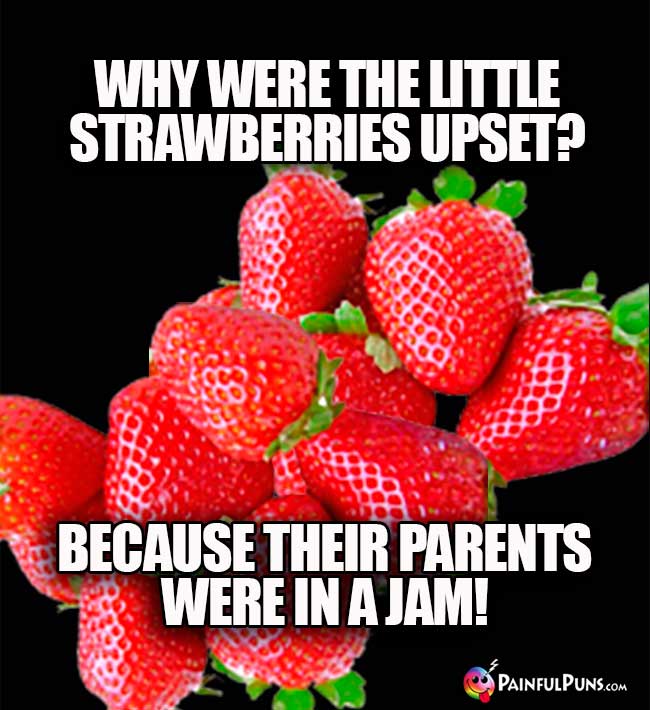Why were the little strawberries upset? Because their parents were in a jam!
