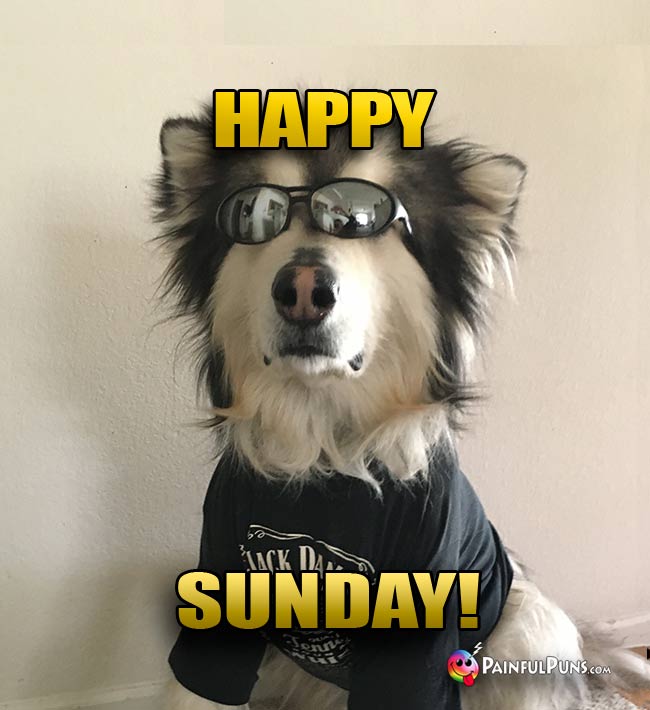 Dog wearing sunglasses says: Happy Sunday!