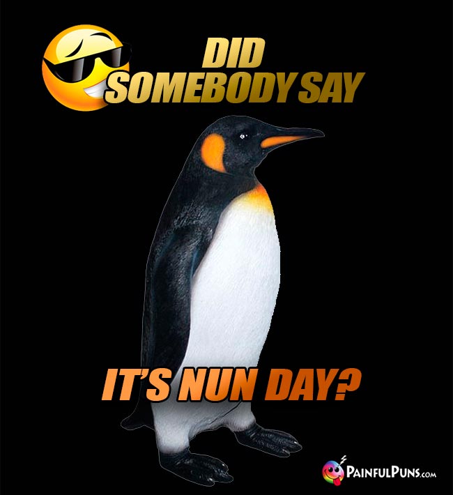 Penguin Asks: Did somebody say it's Nun Day?