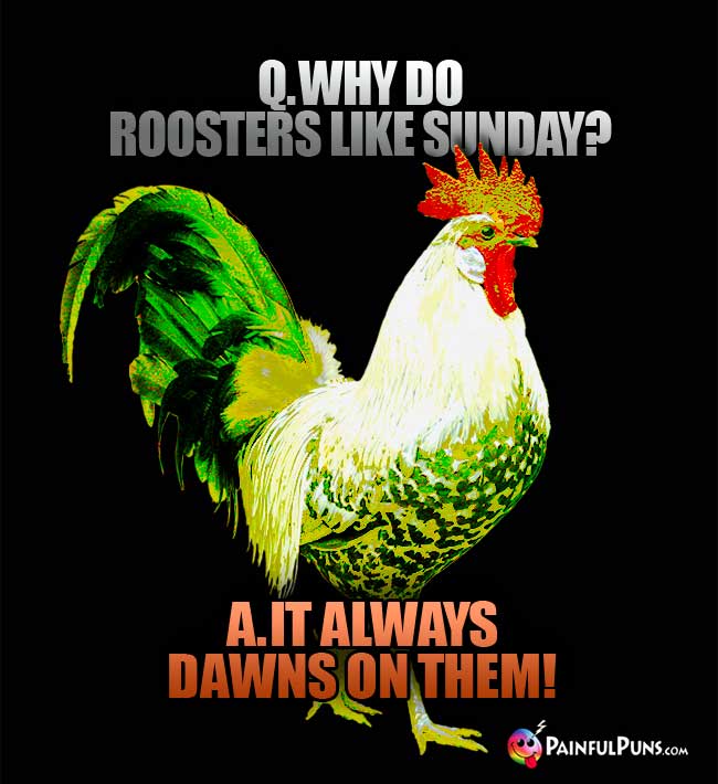 Q. Why do roosters like Sunday? A. It always dawns on them!