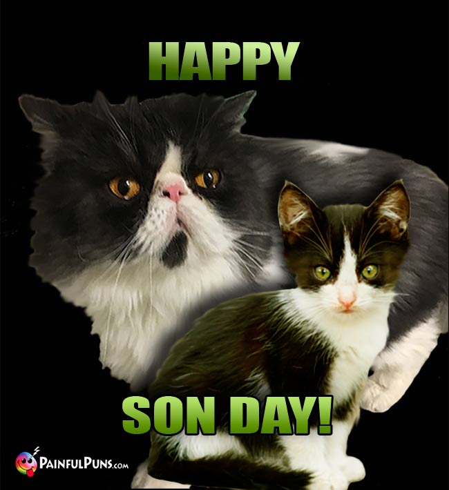Big cat with kitten says: Happy Son Day!