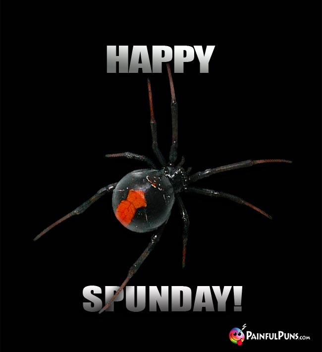 Black Widow Spider Says: Happy SpunDay!