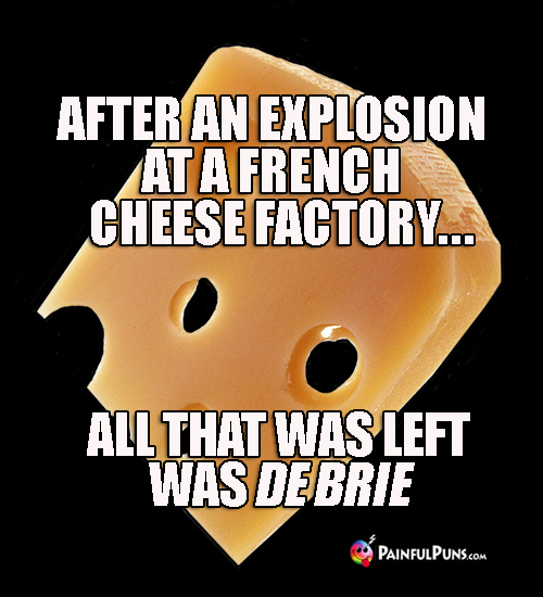 After an exposion at a French cheese factory, all that was left was De Brie