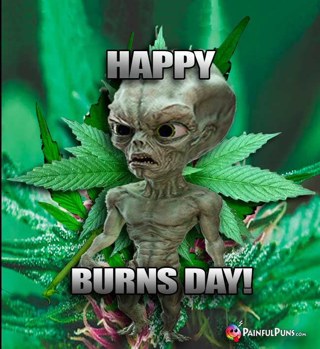 Happy Burns Day!