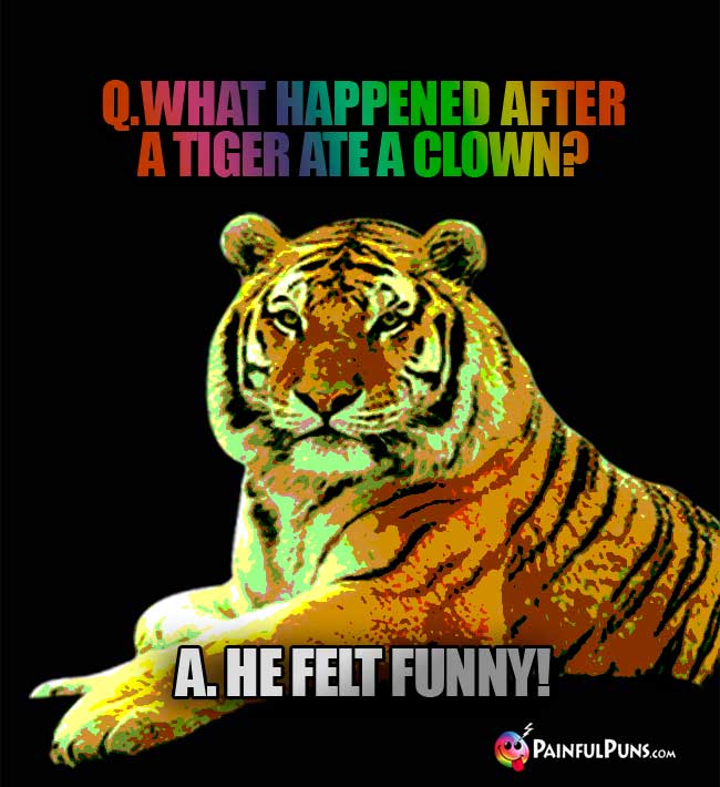 Q. What happened after a tiger ate a clown? A. He felt funny!