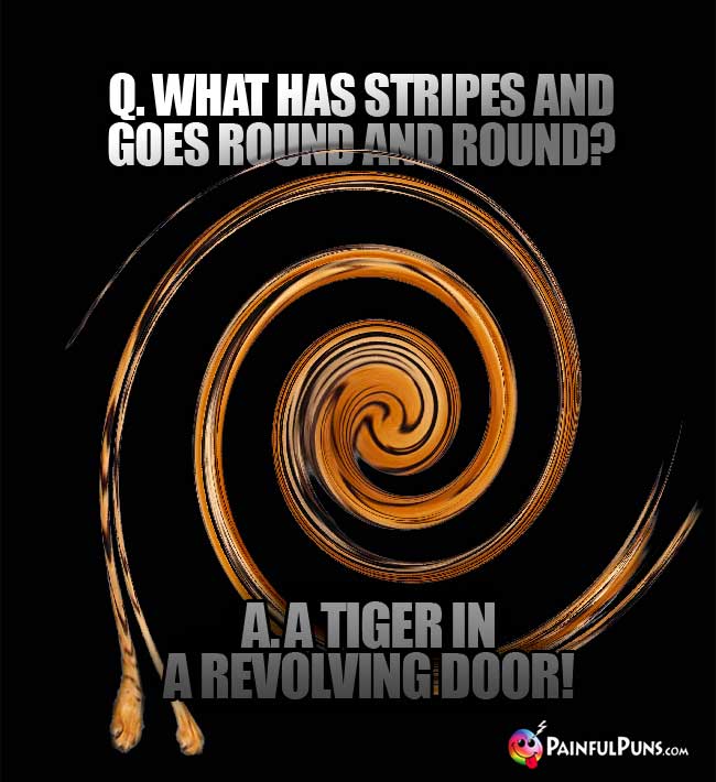 Q. what has stripes and goes round and round? A. A tiger in a revolving door!
