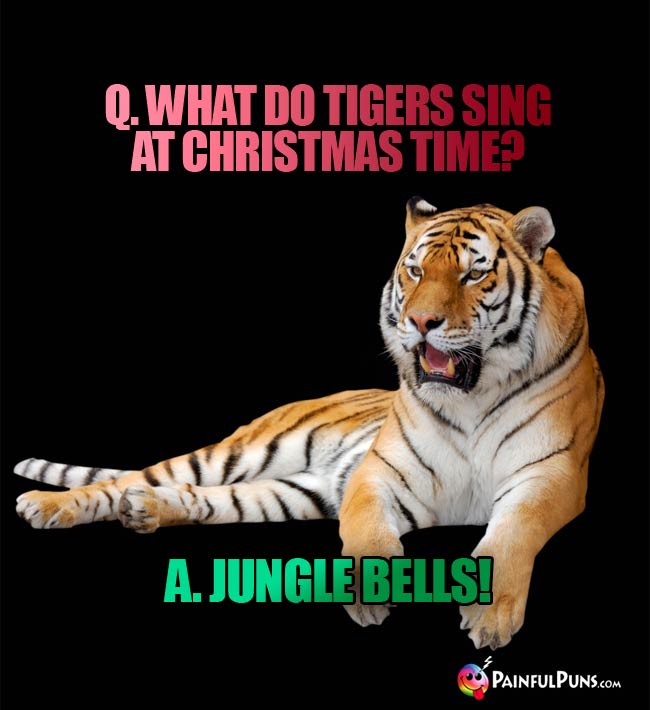 Q. what do tigers sing at Christmas tine? a. Jungle Bells!
