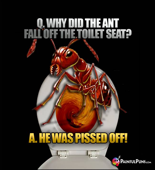 Q. Why did the ant fall off the toilet seat? A. He was pissed off!