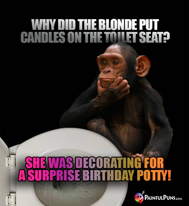 Chimp Asks: Why did the blonde put candles on the toilet seat? A. She was decorating for a surprise birthday potty!