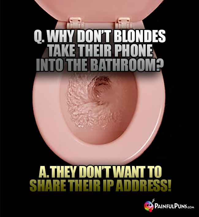 Q. Why don't blondes take their phone into the bathroom? A. They don't want to share their IP address!
