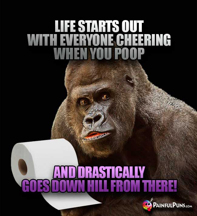 Gorilla Says: Life starts out with everyone cheering when you poop, and drastically goes down hill from there!