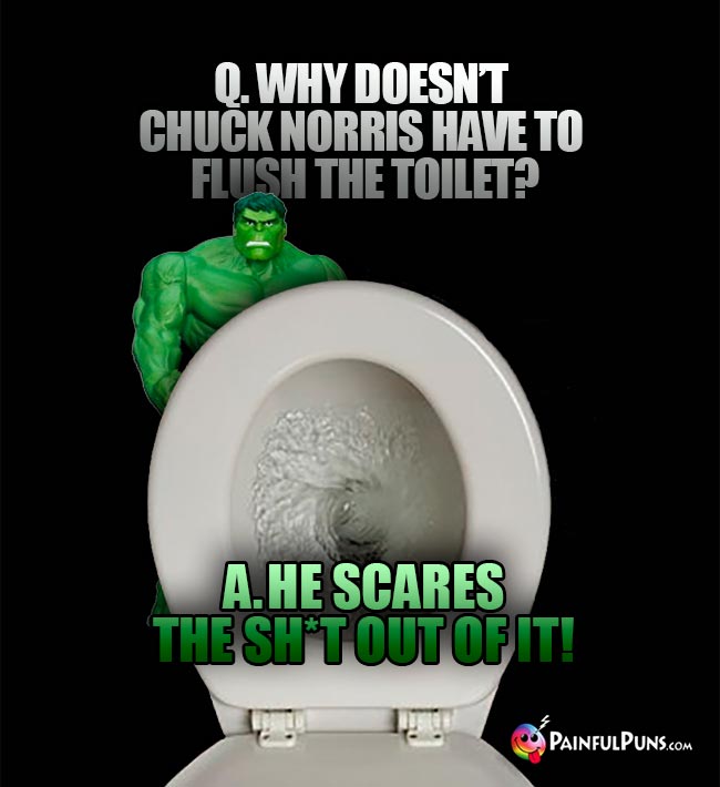 Q. Why doesn't Chuck Norris have to flush the toilet? A. He scares the sh*t out of it!