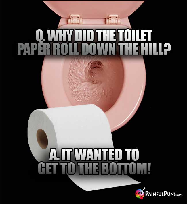Q. Why did the toilet paper roll down the hill? A. It wanted to get to the bottom!