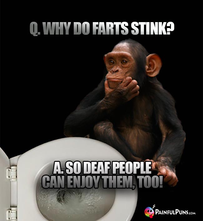 Chimp Asks: Why do farts stink? A. So deaf people can enjoy them, too!