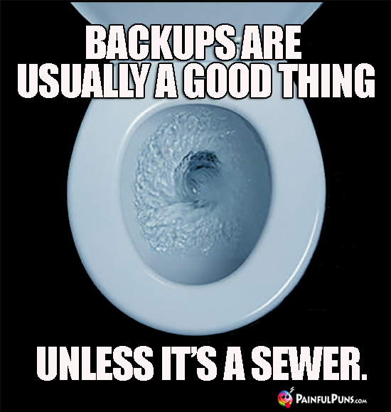 Backups are ususally a good thing, unless it's a sewer.