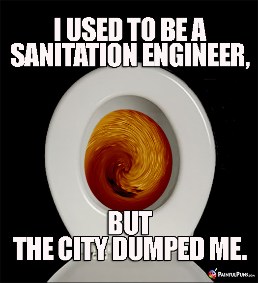 Sh*tty Pun: I used to be a sanitation engineer, but the city dumped me.