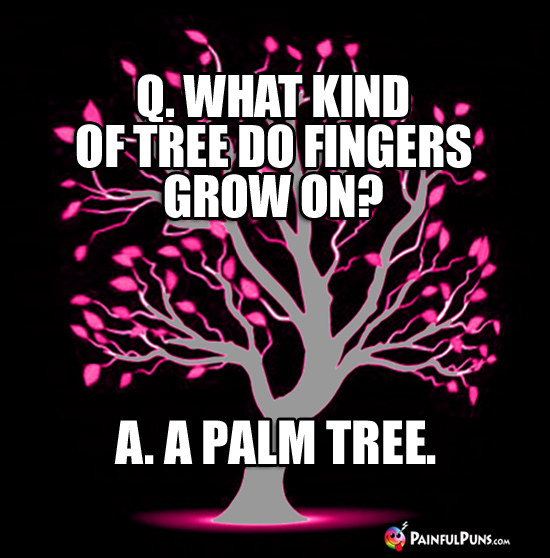 Q. What kind of tree do fingers grow on? A. A Palm Tree
