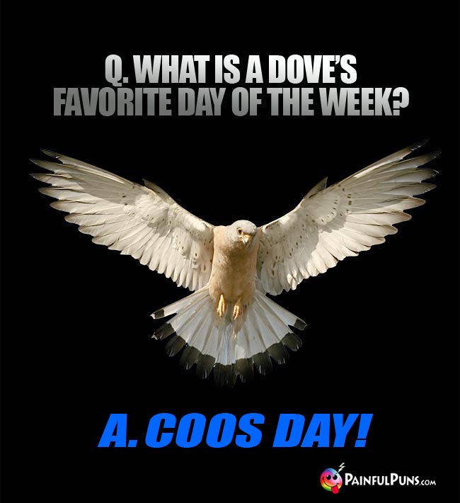 Q. What is a dove's favorite day of the week? A. Coos Day!