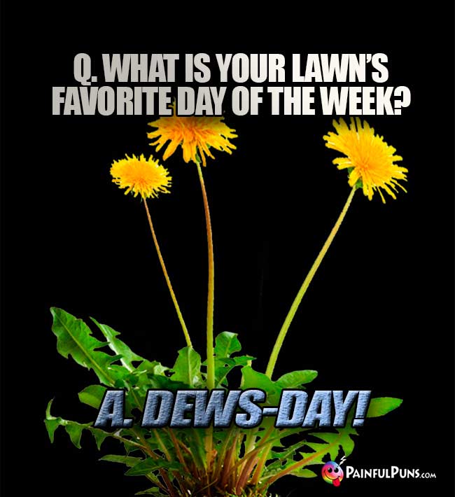Q. What is your lawn's favorite day of the week? A. Dews-Day!