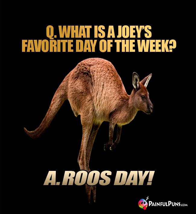 Q. What is a joey's favorite day of the week? A. Roos Day!