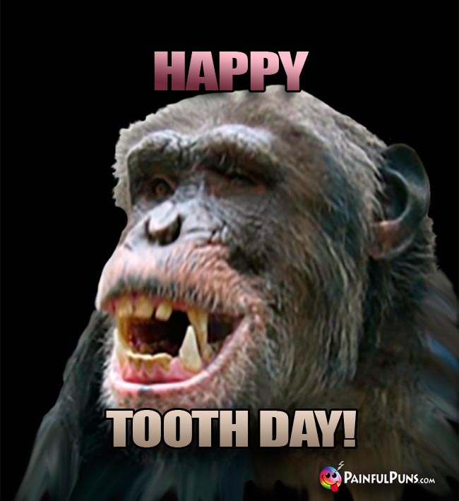 Grinning Chimp Says: Happy Tooth Day!